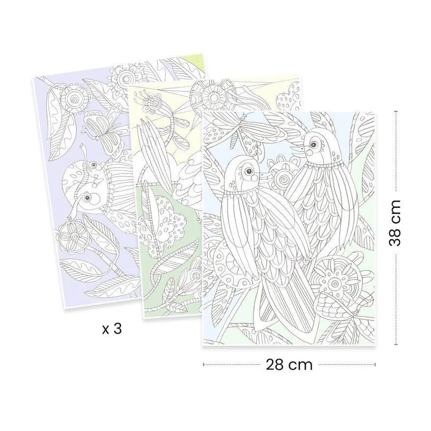Djeco Colouring Gallery Kit - Birds