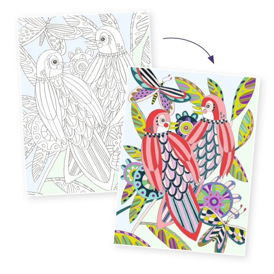 Djeco Colouring Gallery Kit - Birds