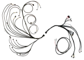 FuelTech 3026100076 PRO600 V8 COMPLETE HARNESS