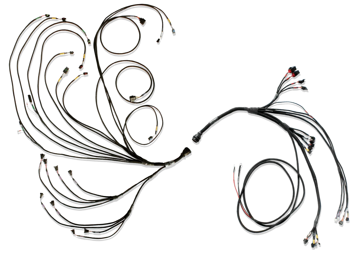 FuelTech 3026100076 PRO600 V8 COMPLETE HARNESS