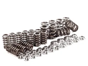 IE 1.8T 20V Valve Spring/Retainer Kit