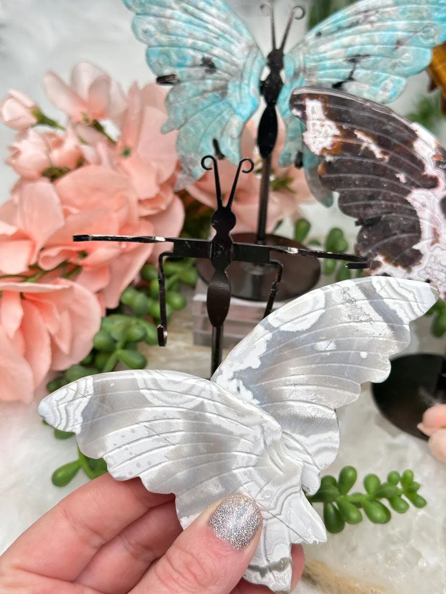 Metal Crystal Butterfy Displays