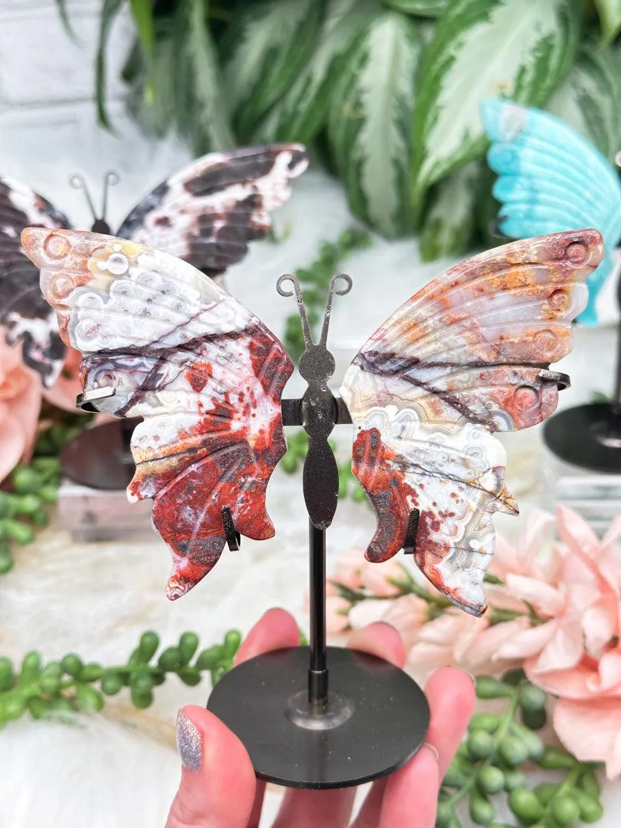 Metal Crystal Butterfy Displays