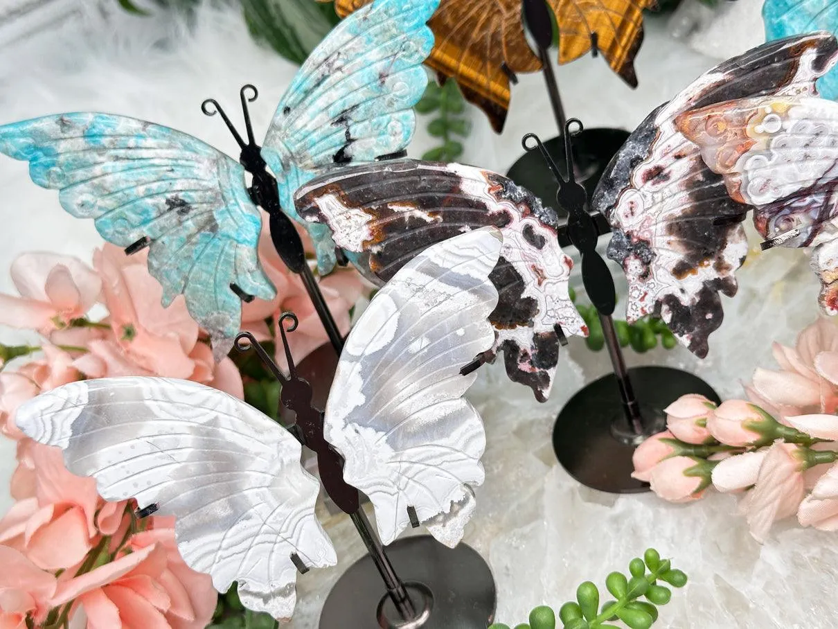 Metal Crystal Butterfy Displays