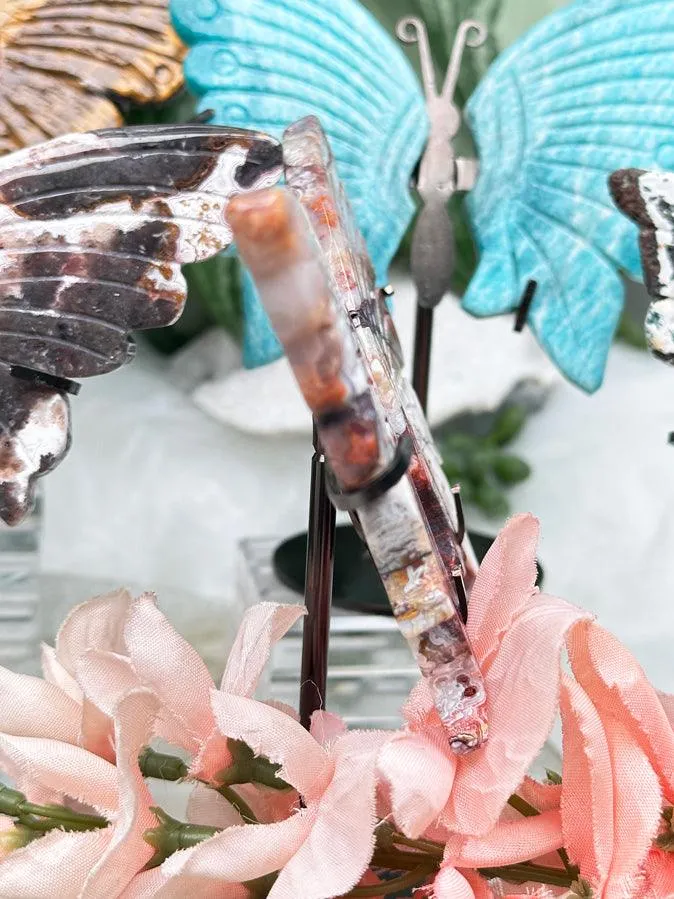 Metal Crystal Butterfy Displays