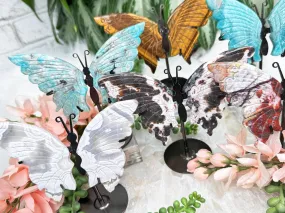 Metal Crystal Butterfy Displays