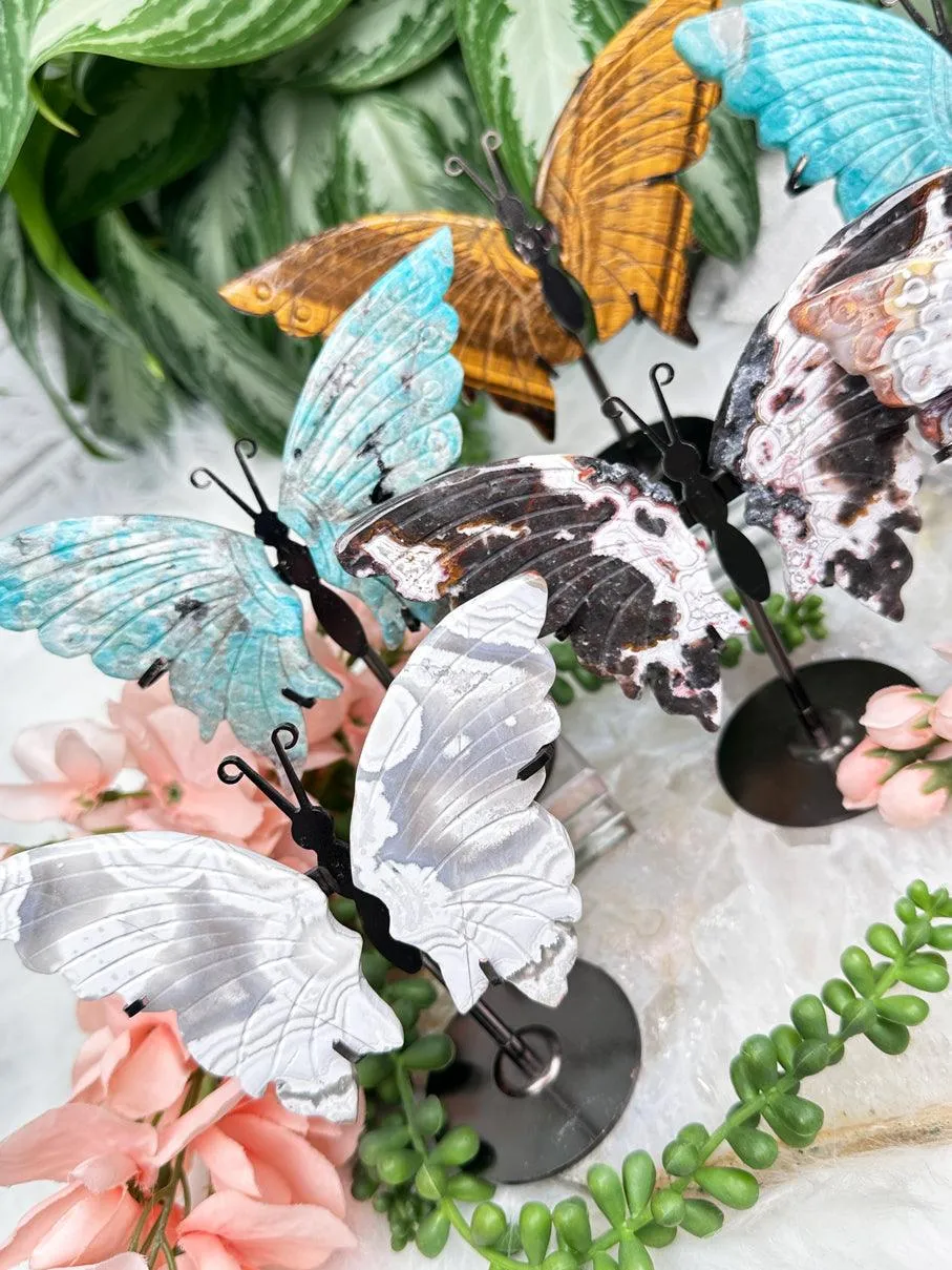 Metal Crystal Butterfy Displays